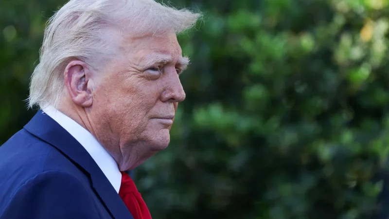 Дональд Трамп: переговоры с Путиным проще, чем с Зеленским